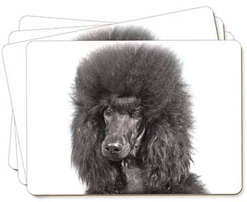 Black Poodle Dog Picture Placemats in Gift Box