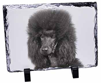 Black Poodle Dog, Stunning Photo Slate