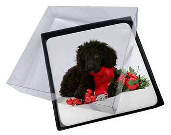 4x Christmas Poodle Picture Table Coasters Set in Gift Box