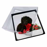 4x Christmas Poodle Picture Table Coasters Set in Gift Box