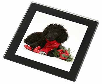 Christmas Poodle Black Rim High Quality Glass Coaster