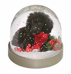 Christmas Poodle Snow Globe Photo Waterball