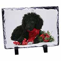 Christmas Poodle, Stunning Photo Slate