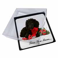 4x Poodle, Christmas Decorations 