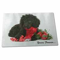 Large Glass Cutting Chopping Board Miniature Poodle Dog 