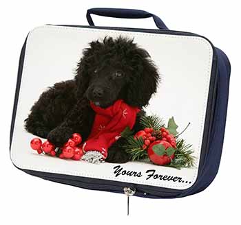 Miniature Poodle Dog 