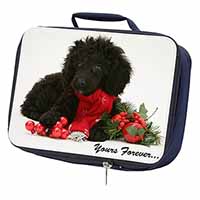 Miniature Poodle Dog 