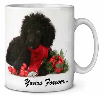 Miniature Poodle Dog 