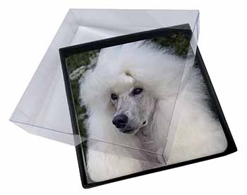 4x White Poodle Dog Picture Table Coasters Set in Gift Box