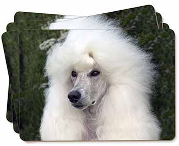 White Poodle Dog Picture Placemats in Gift Box