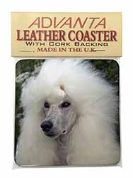 White Poodle Dog Single Leather Photo Coaster