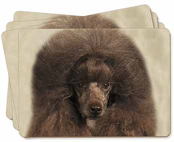 Chocolate Poodle Dog Picture Placemats in Gift Box