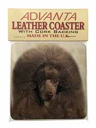 Chocolate Poodle Dog Single Leather Photo Coaster