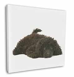 Miniature Poodle Dog Square Canvas 12"x12" Wall Art Picture Print