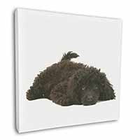 Miniature Poodle Dog Square Canvas 12"x12" Wall Art Picture Print