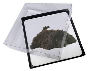 4x Miniature Poodle Dog Picture Table Coasters Set in Gift Box
