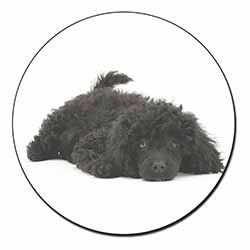 Miniature Poodle Dog Fridge Magnet Printed Full Colour