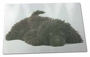 Large Glass Cutting Chopping Board Miniature Poodle Dog