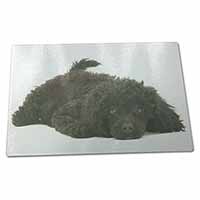 Large Glass Cutting Chopping Board Miniature Poodle Dog