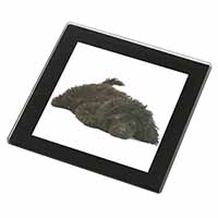 Miniature Poodle Dog Black Rim High Quality Glass Coaster