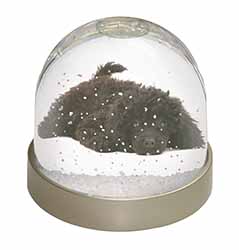 Miniature Poodle Dog Snow Globe Photo Waterball