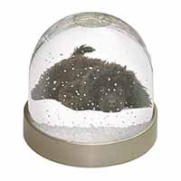 Miniature Poodle Dog Snow Globe Photo Waterball
