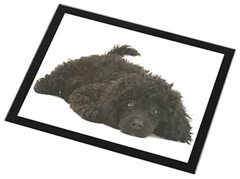 Miniature Poodle Dog Black Rim High Quality Glass Placemat