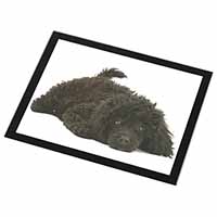 Miniature Poodle Dog Black Rim High Quality Glass Placemat