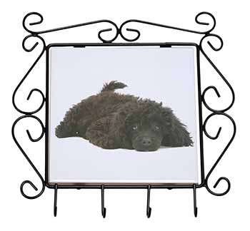 Miniature Poodle Dog Wrought Iron Key Holder Hooks