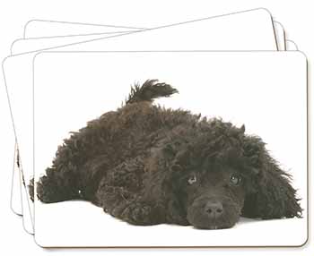 Miniature Poodle Dog Picture Placemats in Gift Box