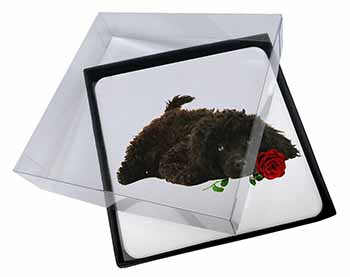 4x Miniature Poodle Dog with Red Rose Picture Table Coasters Set in Gift Box