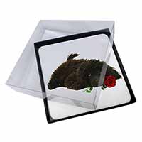 4x Miniature Poodle Dog with Red Rose Picture Table Coasters Set in Gift Box