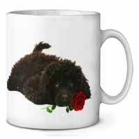 Miniature Poodle Dog with Red Rose Ceramic 10oz Coffee Mug/Tea Cup