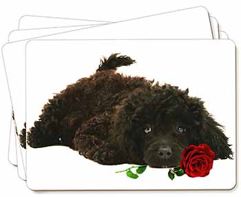 Miniature Poodle Dog with Red Rose Picture Placemats in Gift Box