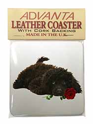 Miniature Poodle Dog with Red Rose Single Leather Photo Coaster