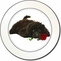 Miniature Poodle Dog with Red Rose Car or Van Permit Holder/Tax Disc Holder