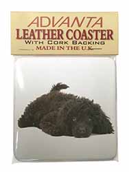Miniature Poodle Dog Single Leather Photo Coaster