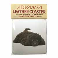 Miniature Poodle Dog Single Leather Photo Coaster