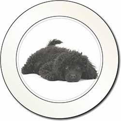 Miniature Poodle Dog Car or Van Permit Holder/Tax Disc Holder