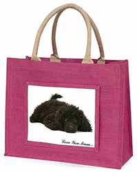 Miniature Poodle 