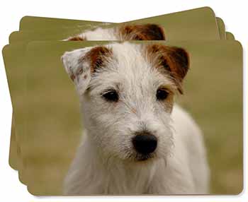 Parson Russell Terrier Dog Picture Placemats in Gift Box