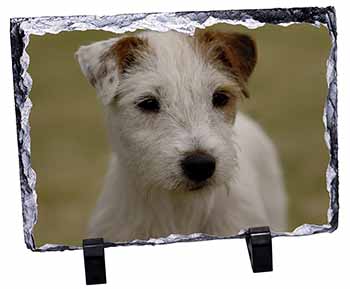 Parson Russell Terrier Dog, Stunning Photo Slate