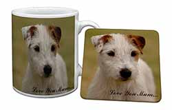 Parson Russell Terrier 