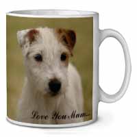 Parson Russell Terrier 