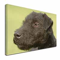 Patterdale Terrier Dogs X-Large 30"x20" Canvas Wall Art Print - Advanta Group®