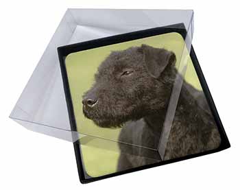 4x Patterdale Terrier Dogs Picture Table Coasters Set in Gift Box - Advanta Grou