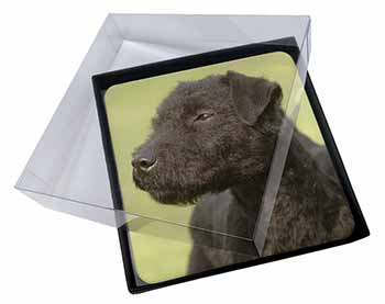 4x Patterdale Terrier Dogs Picture Table Coasters Set in Gift Box