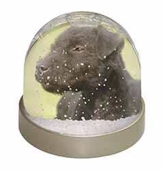 Patterdale Terrier Dogs Photo Snow Globe Waterball