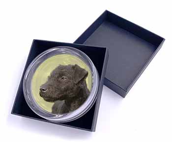 Patterdale Terrier Dogs Glass Paperweight in Gift Box