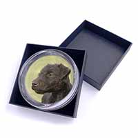 Patterdale Terrier Dogs Glass Paperweight in Gift Box - Advanta Group®